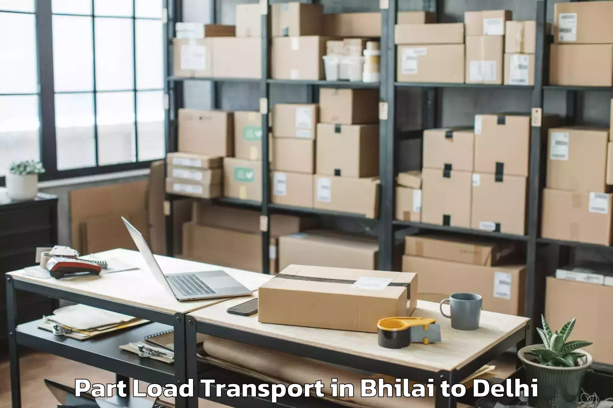 Leading Bhilai to Parsvnath Mall Inderlok Part Load Transport Provider